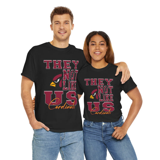 Arizona Cardinals Football Tee, Cardinals Fans Shirt, Arizona Cardinals Unisex Tee, They Not Like Us, Sports Tee, Game Day Shirt