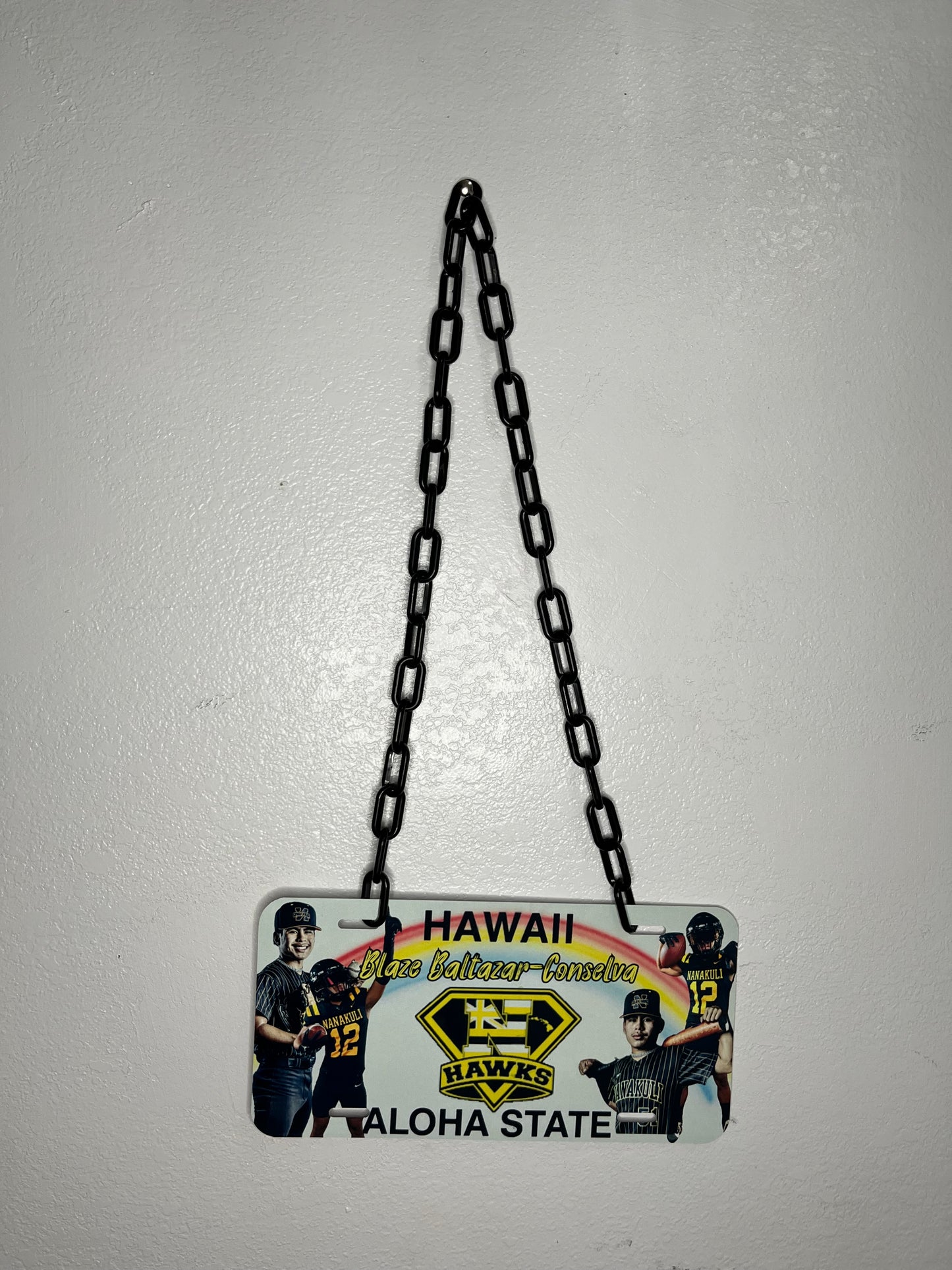 Graduation License Plate Leis